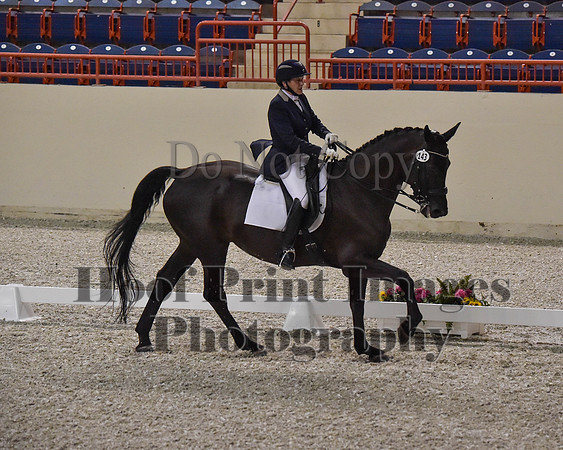 CWdressageII(8-21-16)0310