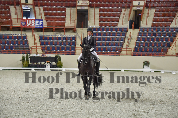 CWdressageI(8-20-16)0964