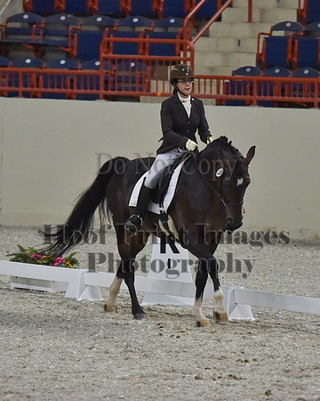CWdressageII(8-21-16)2078