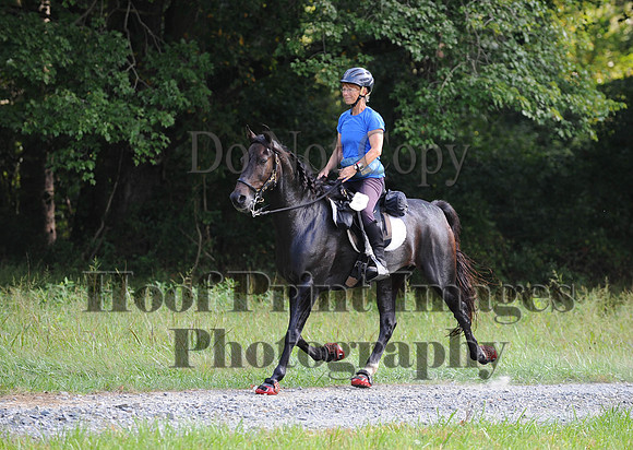 ChesapeakeCTR(9-20-14)0336