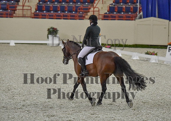 CWdressageI(8-20-16)0125