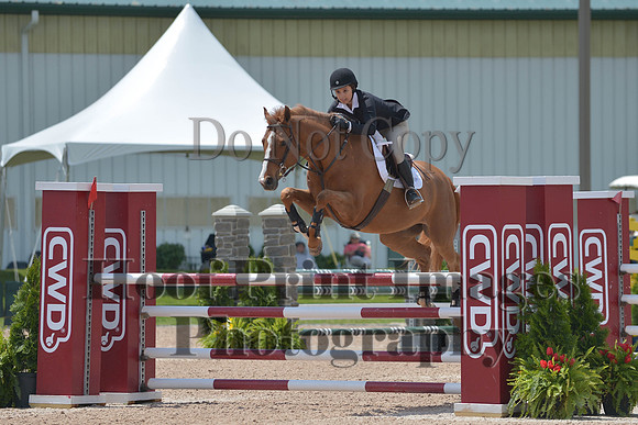 BRSa(5-17-14)HChAdJ0246