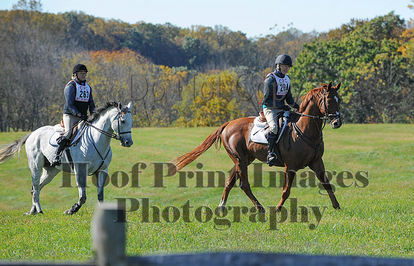 Cheshire(10-19-14)0251