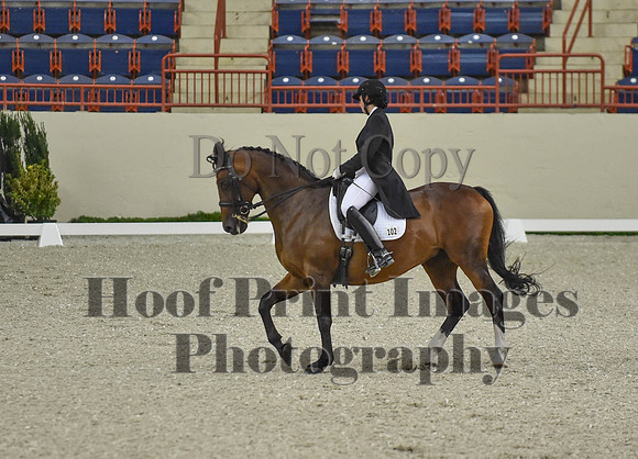 CWdressageI(8-20-16)1554