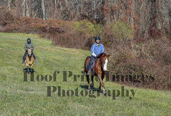 FairHillFallPC(11-30-24)0301