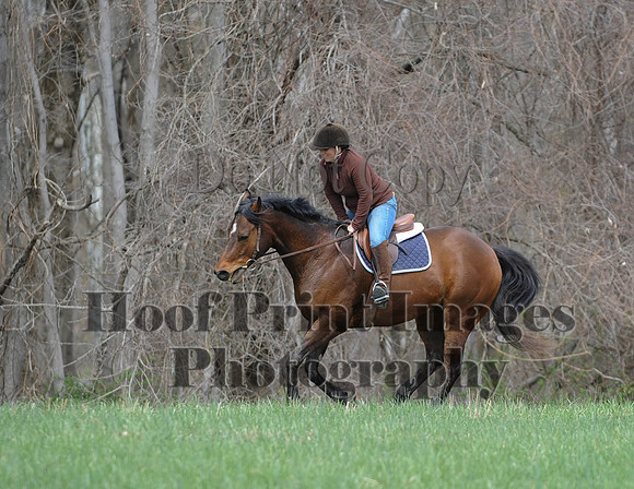 FairhillPC(4-18-14)0599