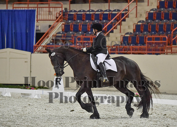 CWdressageI(8-20-16)1381