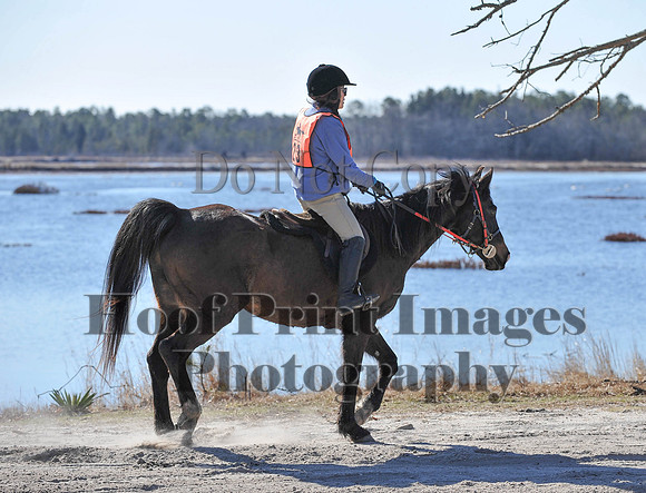 BunnyHop(3-29-15)0042
