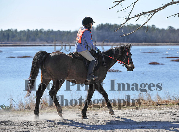 BunnyHop(3-29-15)0043