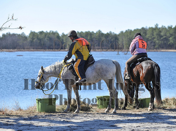 BunnyHop(3-29-15)0076