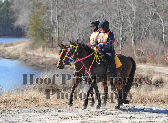BunnyHop(3-29-15)0095