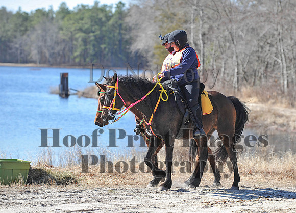 BunnyHop(3-29-15)0096