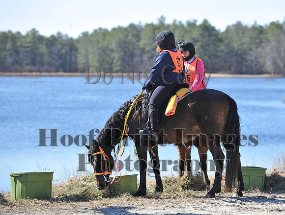 BunnyHop(3-29-15)0097