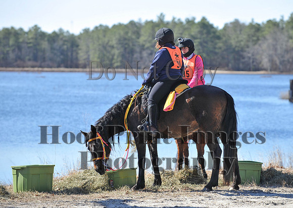 BunnyHop(3-29-15)0098