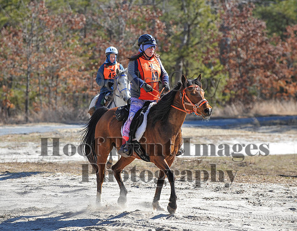 BunnyHop(3-29-15)0101