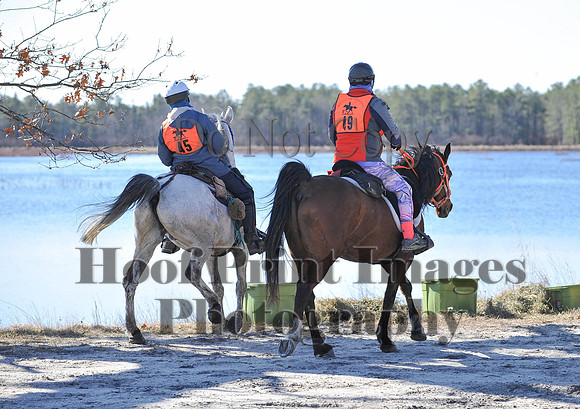 BunnyHop(3-29-15)0114