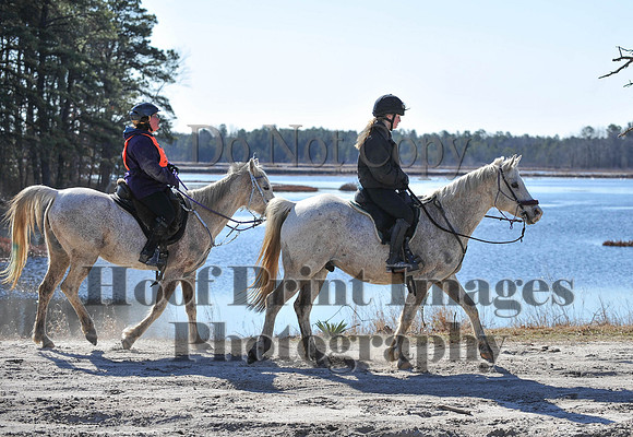 BunnyHop(3-29-15)0127