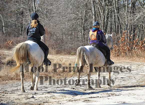 BunnyHop(3-29-15)0131