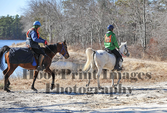 BunnyHop(3-29-15)0148
