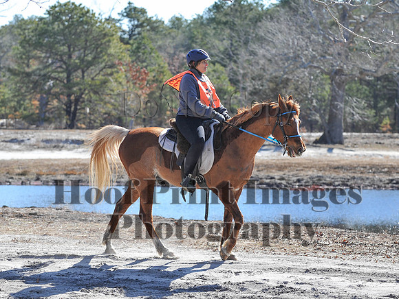 BunnyHop(3-29-15)0166