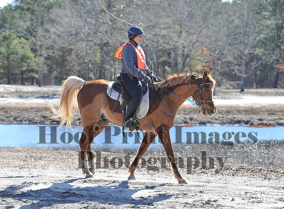 BunnyHop(3-29-15)0167