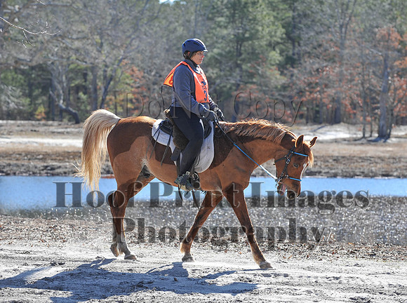 BunnyHop(3-29-15)0169