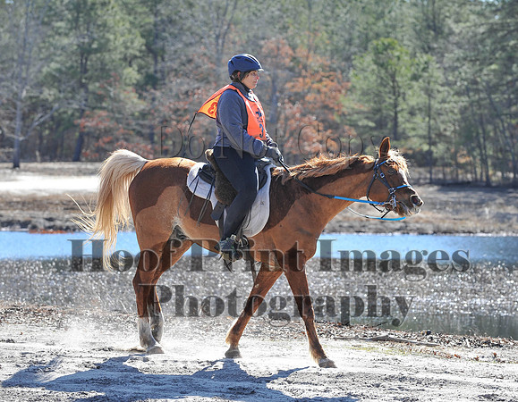 BunnyHop(3-29-15)0170