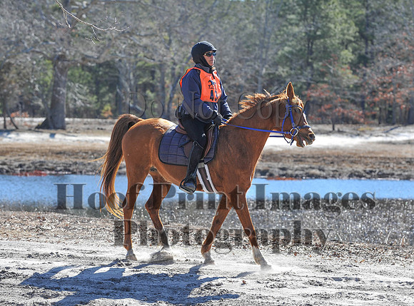 BunnyHop(3-29-15)0171