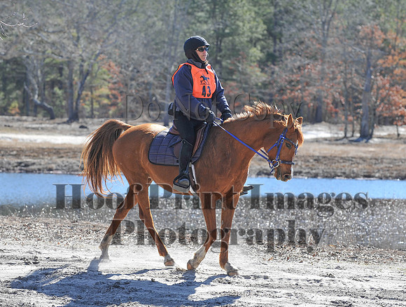 BunnyHop(3-29-15)0172