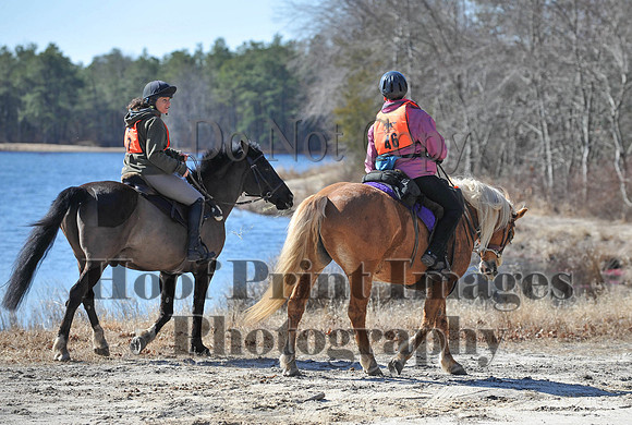 BunnyHop(3-29-15)0174