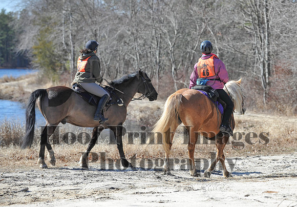 BunnyHop(3-29-15)0175