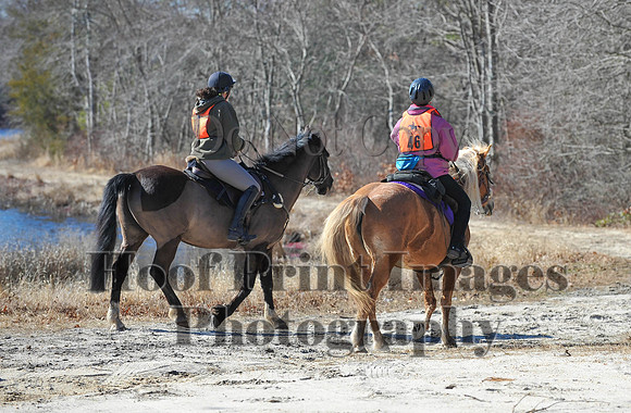 BunnyHop(3-29-15)0176