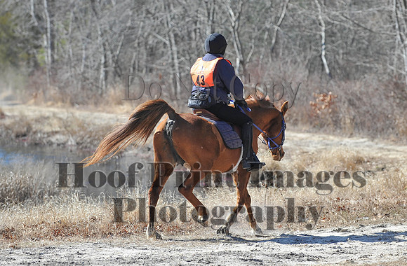 BunnyHop(3-29-15)0179