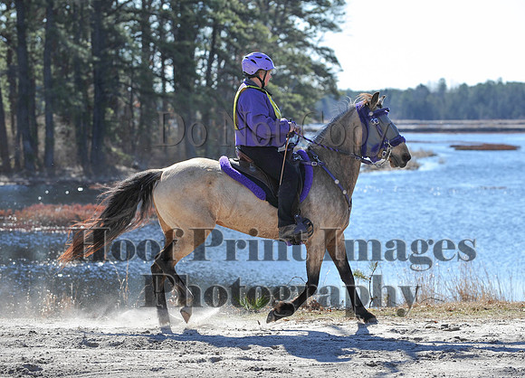 BunnyHop(3-29-15)0202
