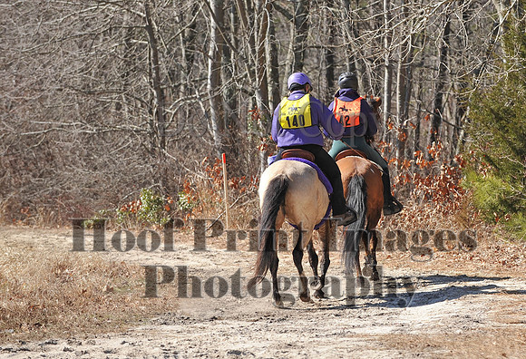 BunnyHop(3-29-15)0206