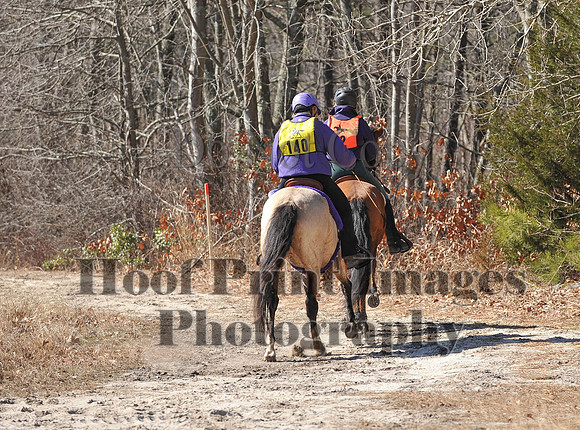 BunnyHop(3-29-15)0207