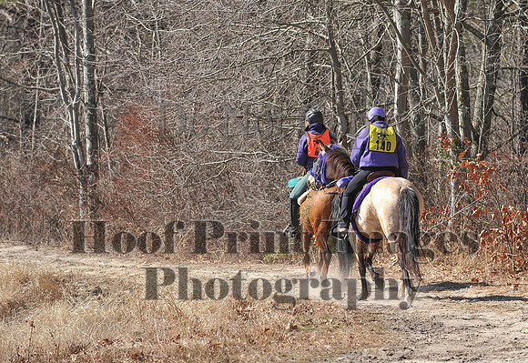 BunnyHop(3-29-15)0208