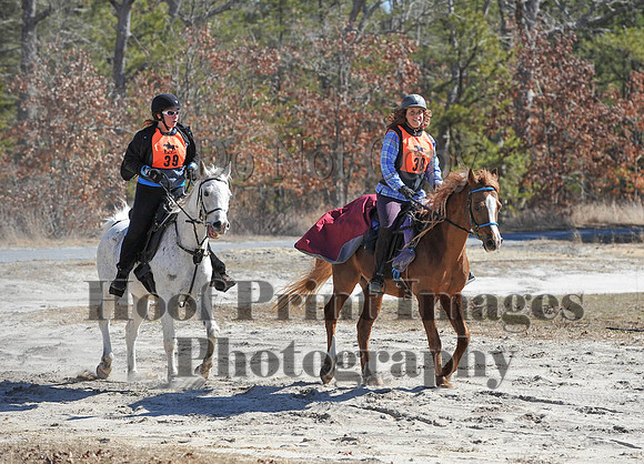 BunnyHop(3-29-15)0234