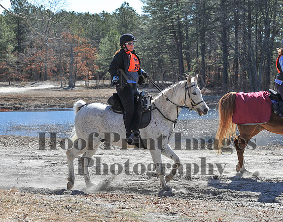 BunnyHop(3-29-15)0240