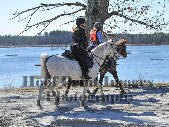 BunnyHop(3-29-15)0244