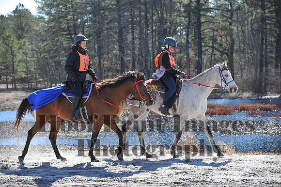 BunnyHop(3-29-15)0265