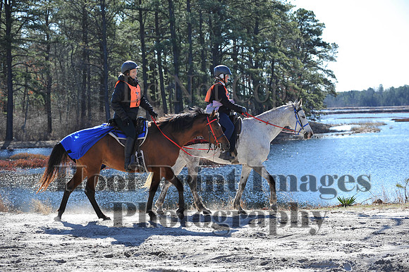 BunnyHop(3-29-15)0267