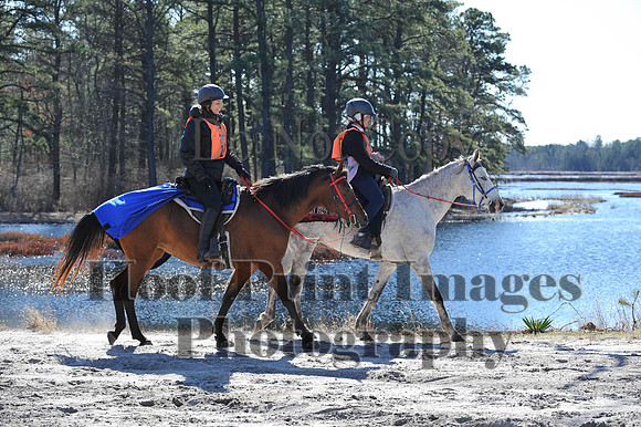 BunnyHop(3-29-15)0268