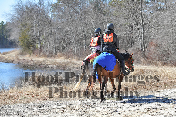 BunnyHop(3-29-15)0269