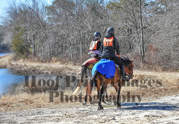 BunnyHop(3-29-15)0270