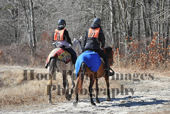 BunnyHop(3-29-15)0271