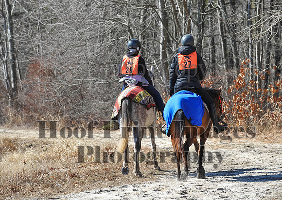 BunnyHop(3-29-15)0273
