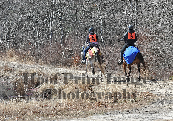 BunnyHop(3-29-15)0274
