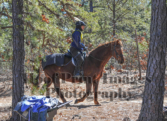 BunnyHop(3-29-15)0277