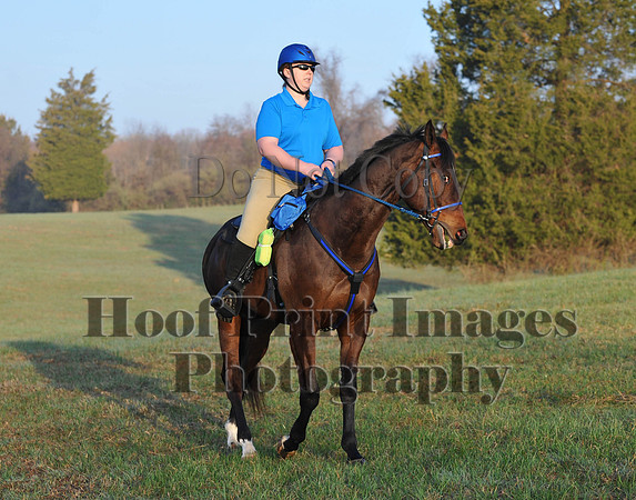 Foxcatcher(4-12-14)0292